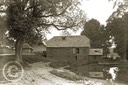 Abbotstone 001