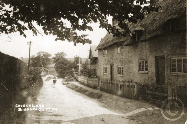 Bishop's Sutton 014