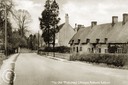 Bishop's Sutton 019
