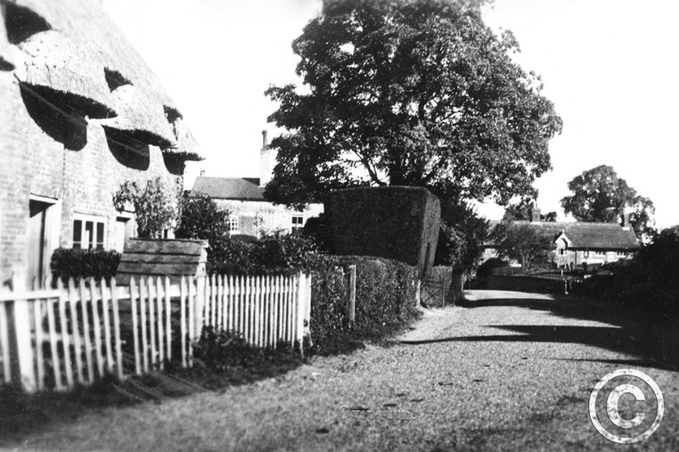 Ovington 020