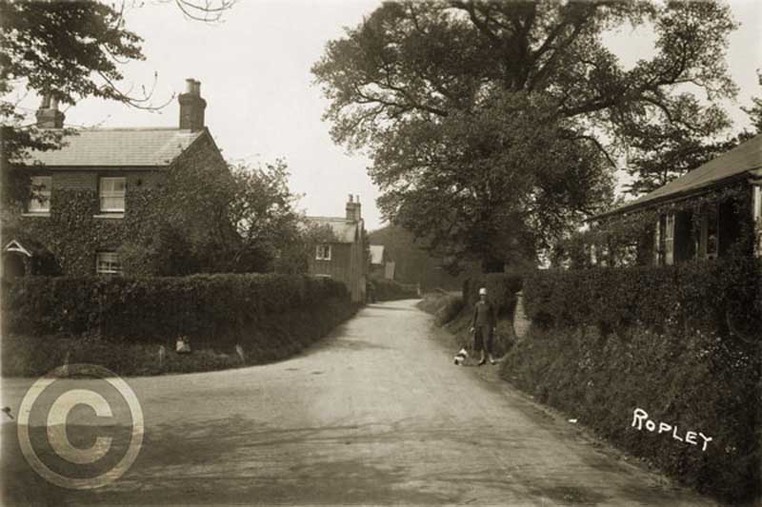 Ropley 007